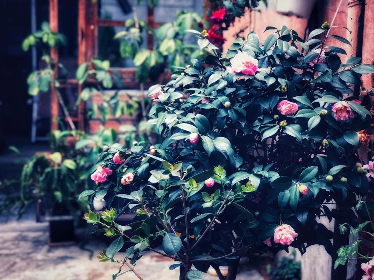 Len'S Hostel Da Lat Zewnętrze zdjęcie